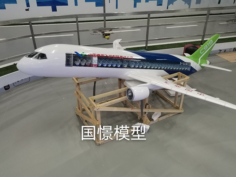 修武县飞机模型