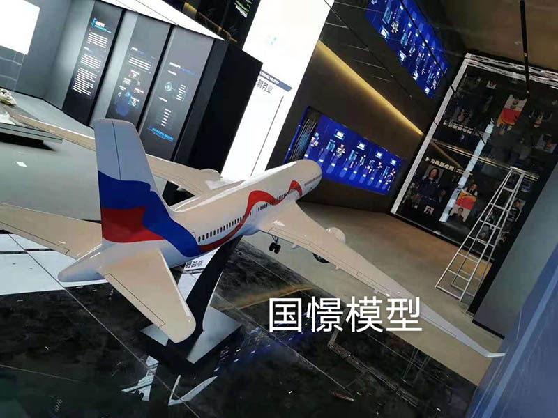 修武县飞机模型